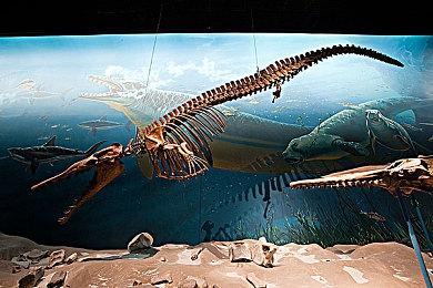 冒险RPG《异世界牛仔》上线steam 计划明年发售